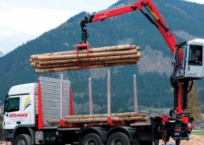 Grúas con container